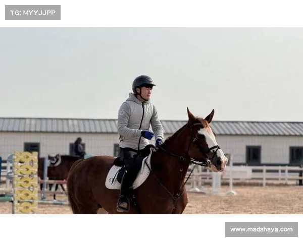 国际马术联合会成立安全背心工作组全力加强骑手安全防护 国际马术联合会成立安全背心工作组全力加强骑手安全防护